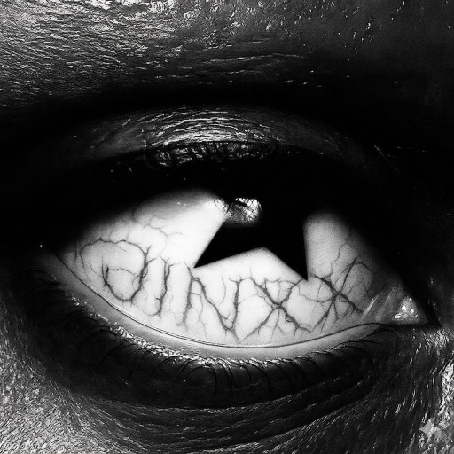 GunsLol profile picture for @yvngjinxx