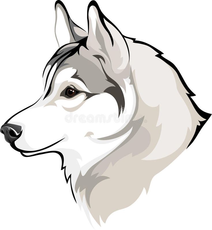 GunsLol profile picture for @smiths