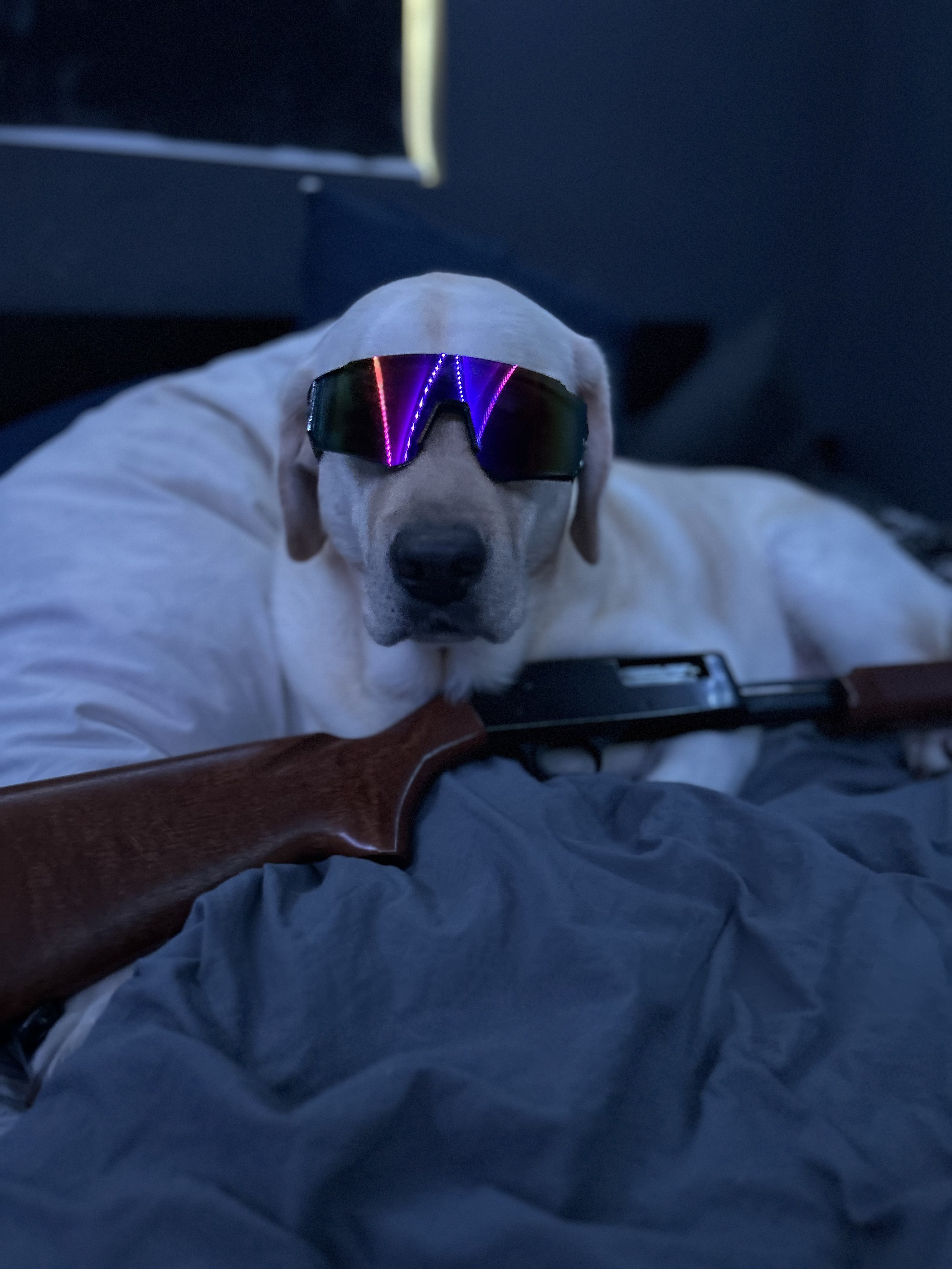 GunsLol profile picture for @jo