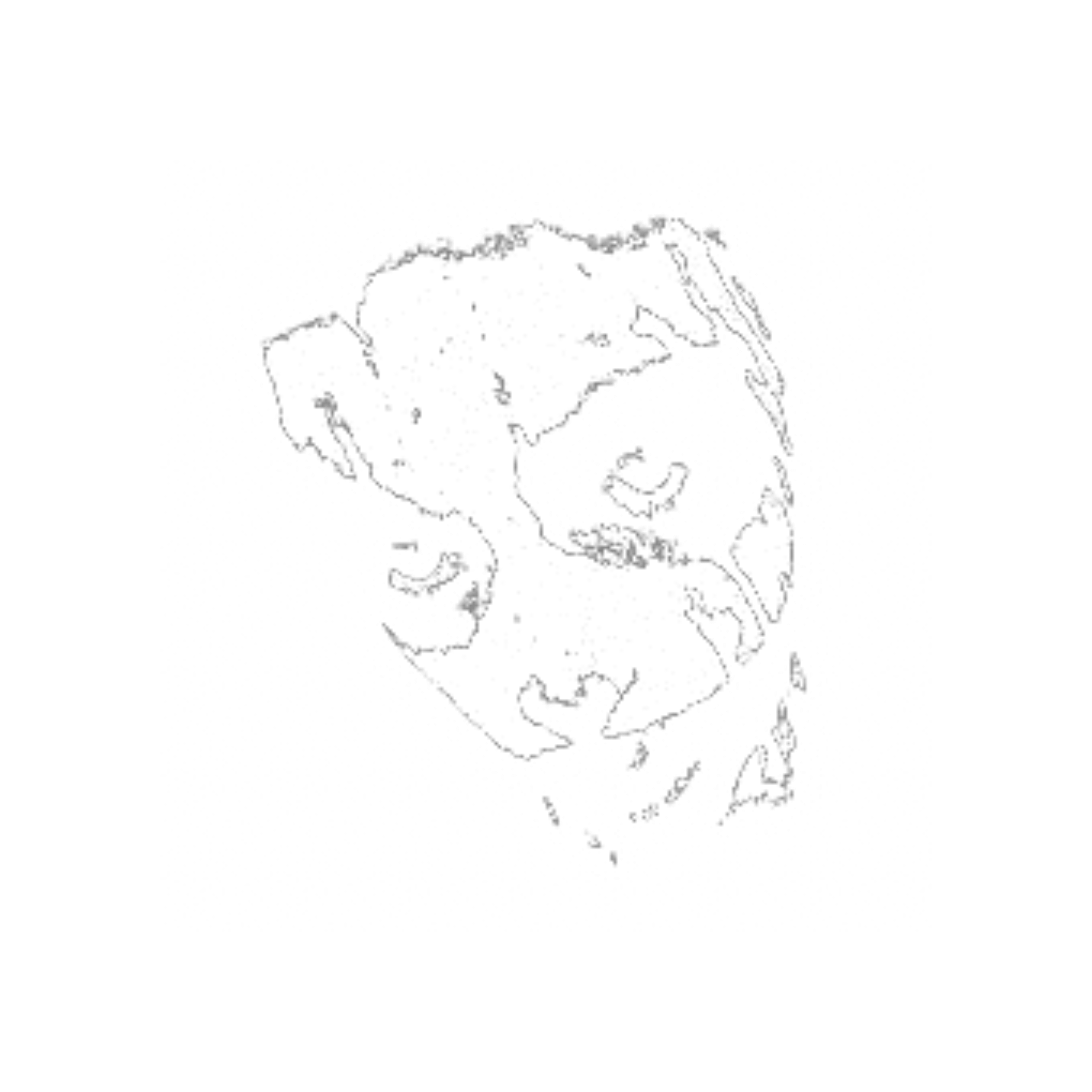 GunsLol profile picture for @joiner