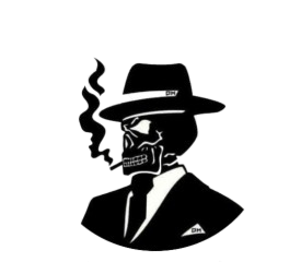 GunsLol profile picture for @painkiller