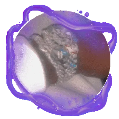 GunsLol profile picture for @fe