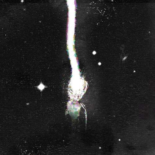 GunsLol profile picture for @passionate