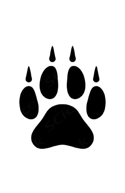 GunsLol profile picture for @gnaw