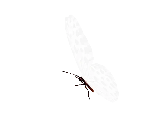 GunsLol profile picture for @resembles