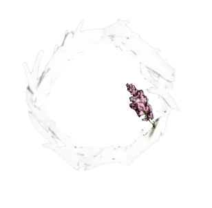 GunsLol profile picture for @mazie
