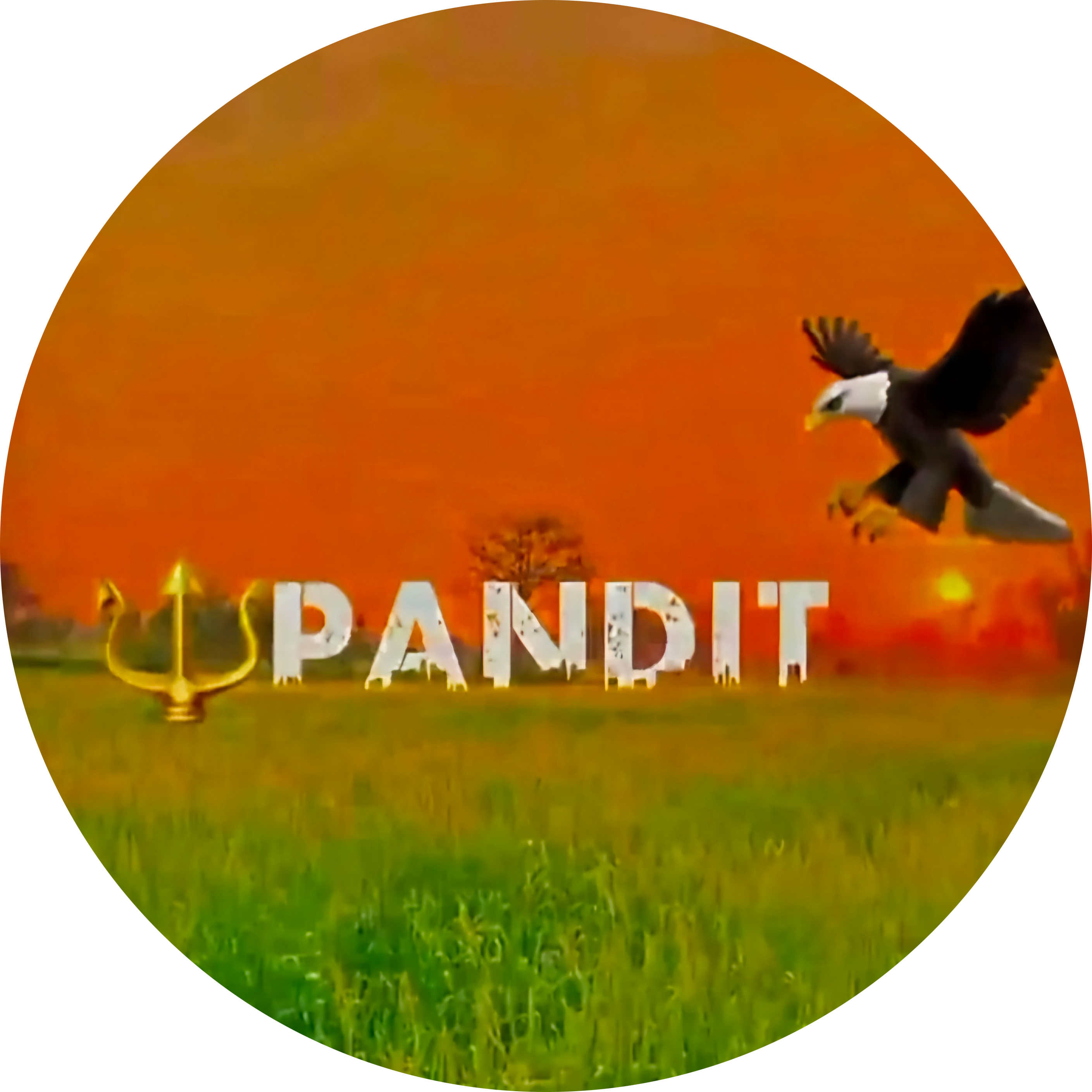 GunsLol profile picture for @pandit