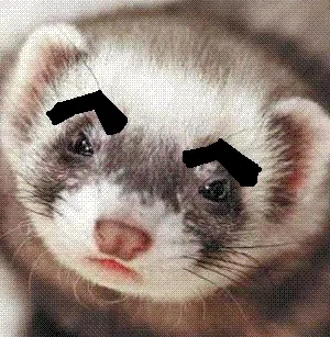 GunsLol profile picture for @huron