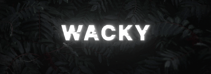 GunsLol profile picture for @wacky