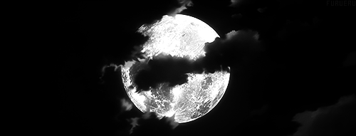 GunsLol profile picture for @xxxxxxxx