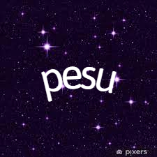 GunsLol profile picture for @pesu
