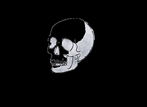 GunsLol profile picture for @elias