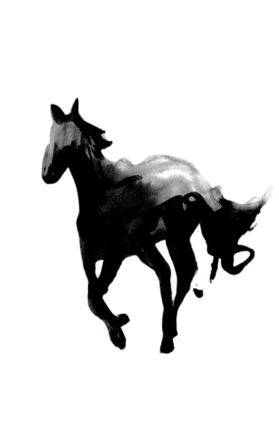 GunsLol profile picture for @adr