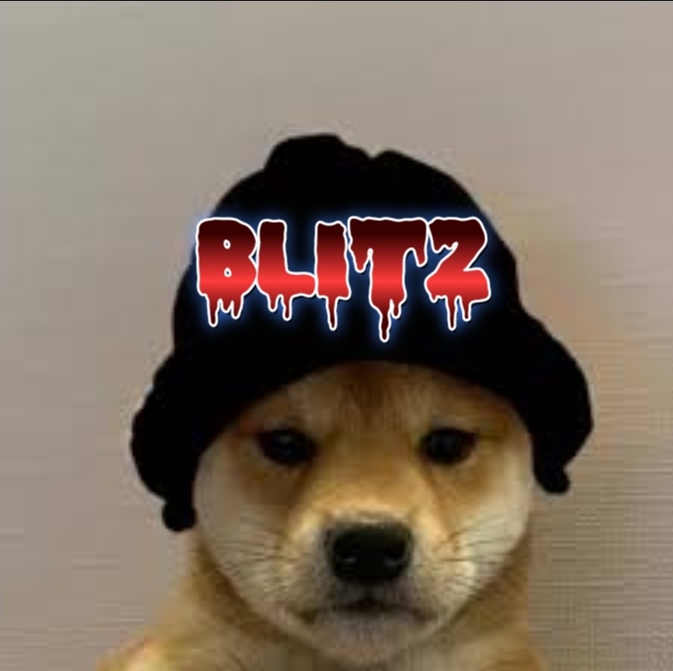 GunsLol profile picture for @blitz