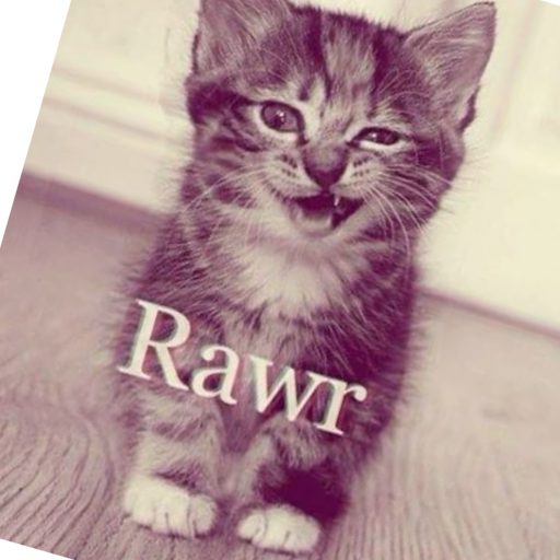 GunsLol profile picture for @slitwrists