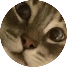 GunsLol profile picture for @bm