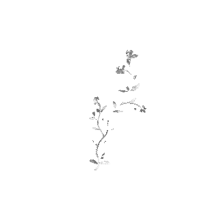 GunsLol profile picture for @pgl