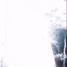 GunsLol profile picture for @racial