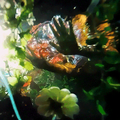 GunsLol profile picture for @privilege