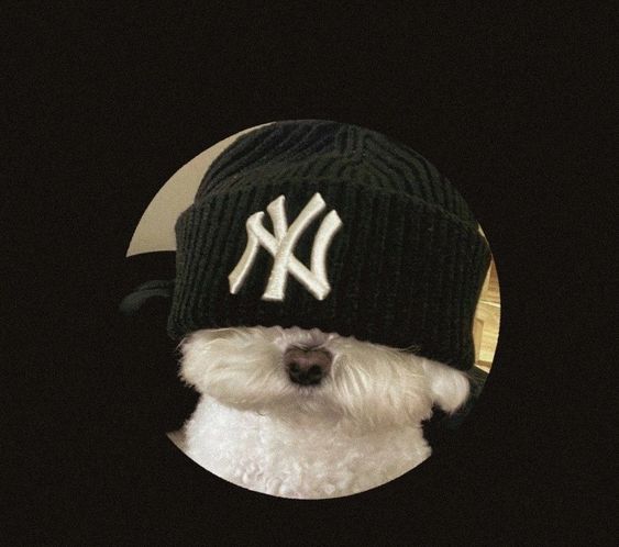 GunsLol profile picture for @nicol