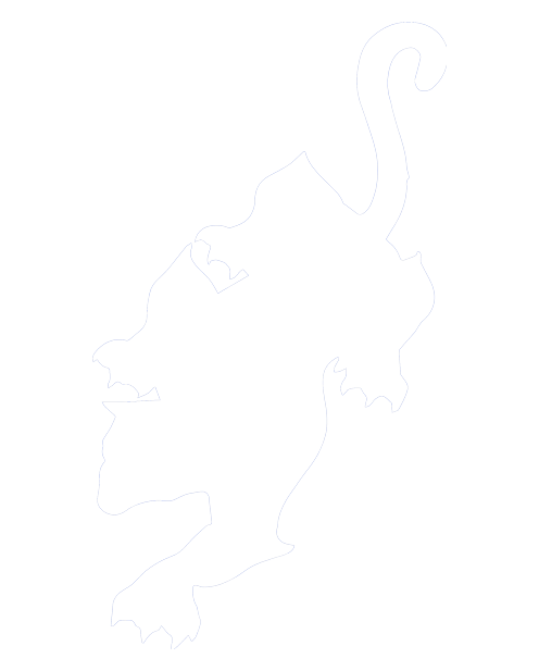 Custom Badge