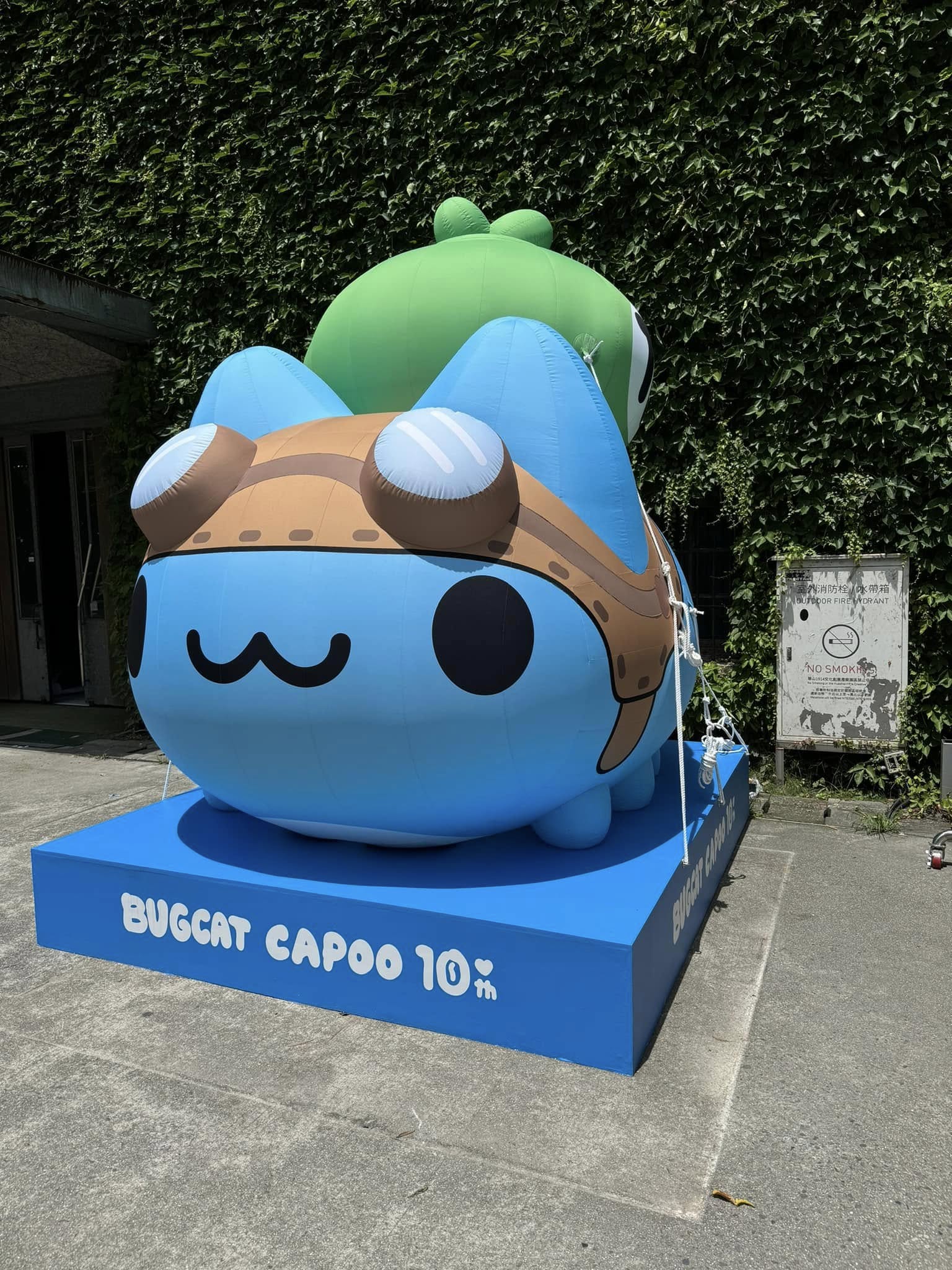 GunsLol profile picture for @taipei