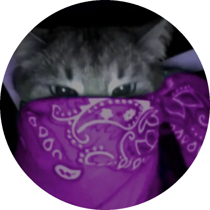 GunsLol profile picture for @scr