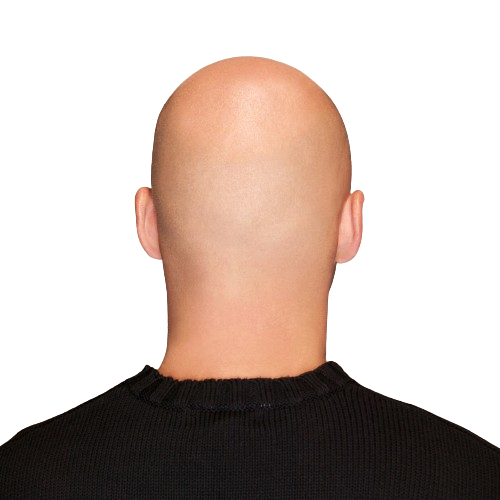 GunsLol profile picture for @bald