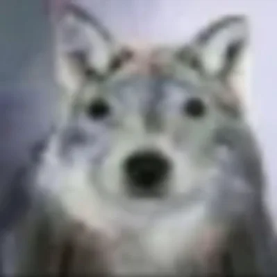 GunsLol profile picture for @lobo