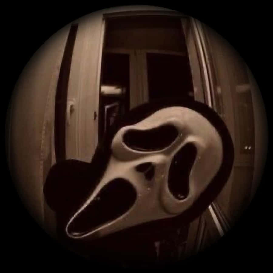 GunsLol profile picture for @slapped