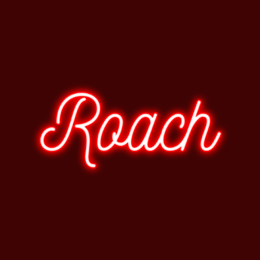 GunsLol profile picture for @cockroach