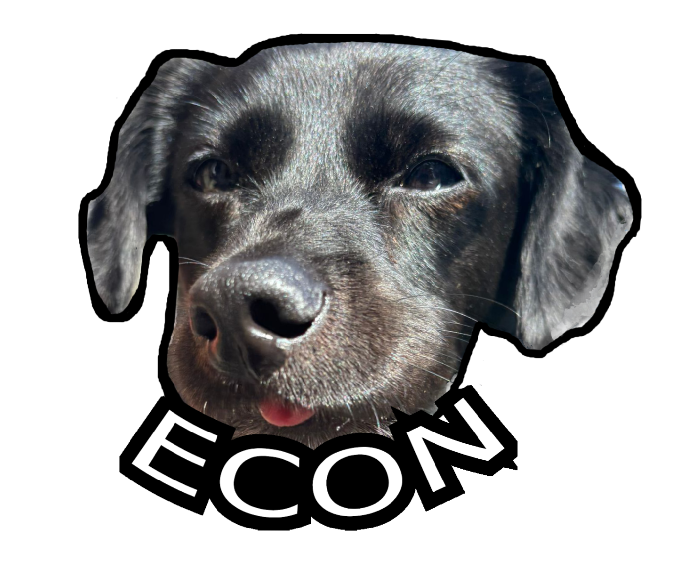 GunsLol profile picture for @Econ