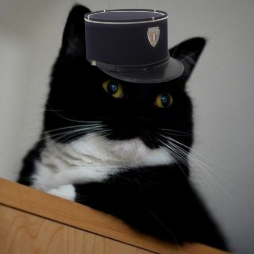GunsLol profile picture for @waterloo