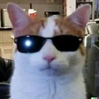 GunsLol profile picture for @Cambridge