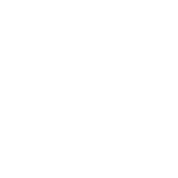 Custom Badge