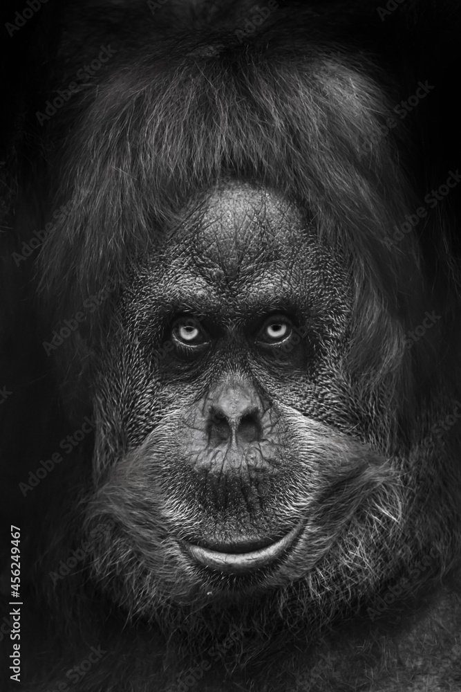 GunsLol profile picture for @monkeys