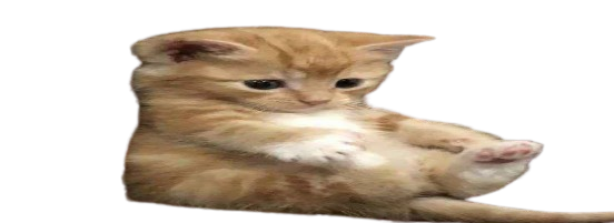 GunsLol profile picture for @spike