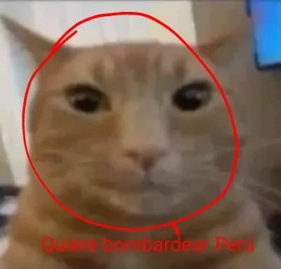 GunsLol profile picture for @pedrito
