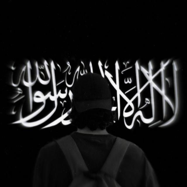 GunsLol profile picture for @shafiq