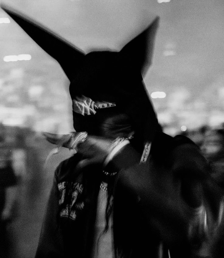 GunsLol profile picture for @lowlife