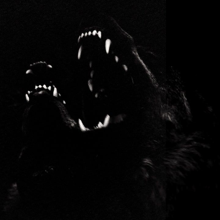 GunsLol profile picture for @violence