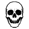 GunsLol profile picture for @dumper