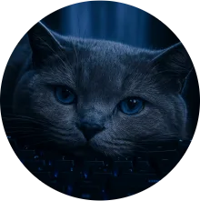 GunsLol profile picture for @shreyansh