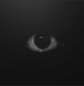 GunsLol profile picture for @Mclaren